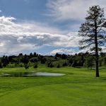 green grass with the flag in the hole.