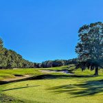 Panoramic view of a lush green golf course at Wachesaw Plantation Club. Smooth