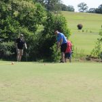 green grass with the flag in the hole.