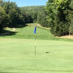 green grass with the flag in the hole.