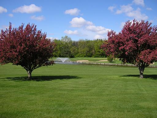 Panoramic view of a lush green golf course at Waverly Municipal Golf Course. Smooth