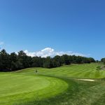 green grass with the flag in the hole.