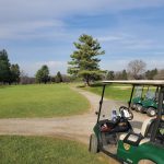 green grass with the flag in the hole.