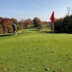 green grass with the flag in the hole.