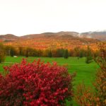 Panoramic view of a lush green golf course at West Bolton Golf Club. Smooth