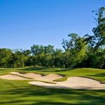 green grass with the flag in the hole.