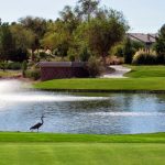 Panoramic view of a lush green golf course at Wildhorse Golf Club. Smooth