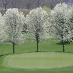 green grass with the flag in the hole.