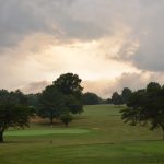 green grass with the flag in the hole.