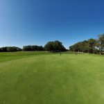 green grass with the flag in the hole.