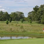 green grass with the flag in the hole.