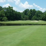 green grass with the flag in the hole.