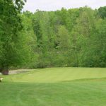 green grass with the flag in the hole.